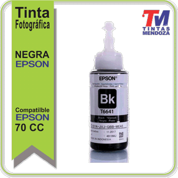 BotellaTinta Negra Epson 664